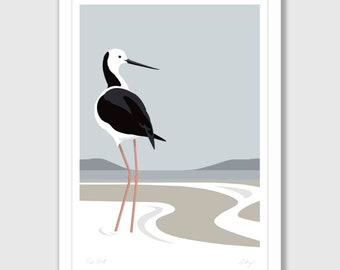 Nya Zeeländsk Pied Stilt - Giclée-konsttryck