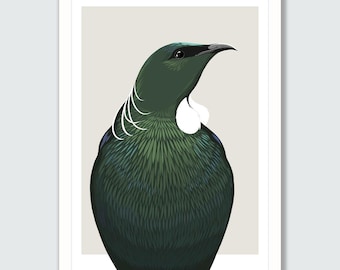 New Zealand Tui - Giclee art print