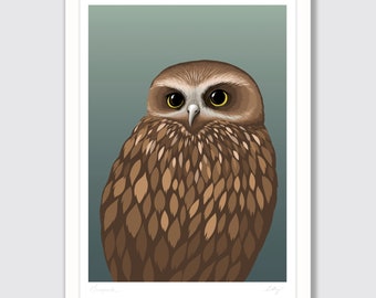 Nya Zeeland Morepork / Ruru - Giclee konsttryck