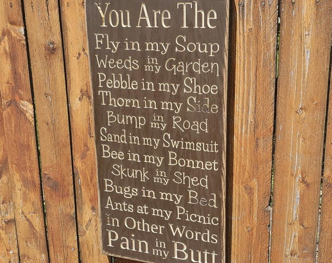 Custom Carved Wooden Sign - "You Are The Fly In My Soup ..."