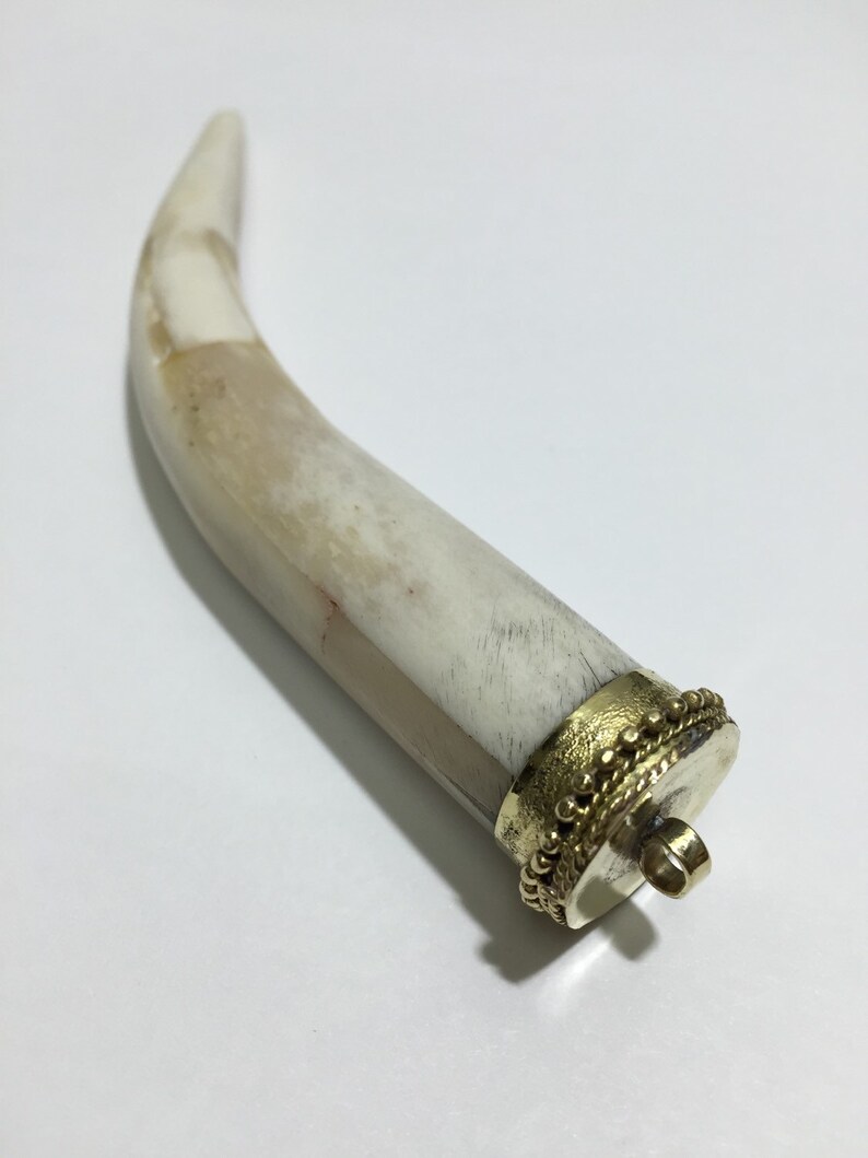 yakyak horn yakyak horn