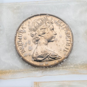 Pu&ograve; includere: Una moneta dorata con il ritratto della regina Elisabetta II e il testo "BERMUDA" ed "ELIZABETH II" sul dritto.