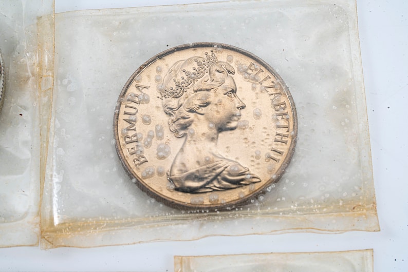 Pu&ograve; includere: Una moneta dorata con il ritratto della regina Elisabetta II e il testo "BERMUDA" ed "ELIZABETH II" sul dritto.