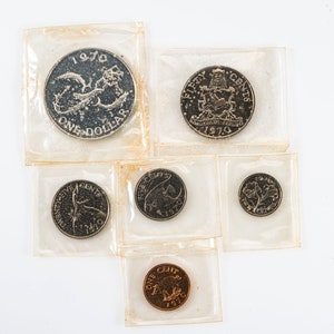 Pu&ograve; includere: Un set di sei monete d'argento in buste di plastica. Le monete presentano l'anno 1970 e le parole "One Dollar" e "Fifty Cents".