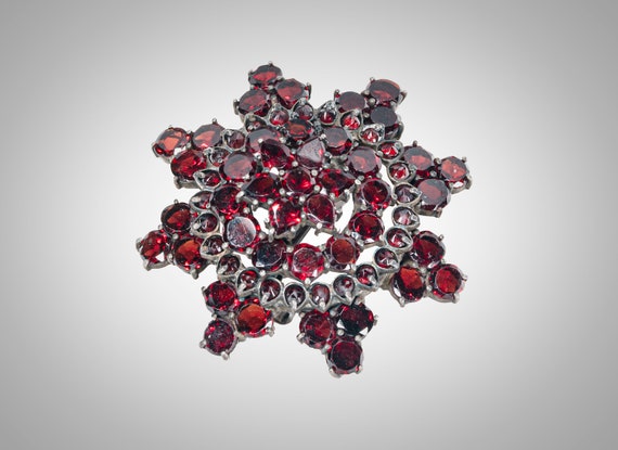 Garnet brooch discount
