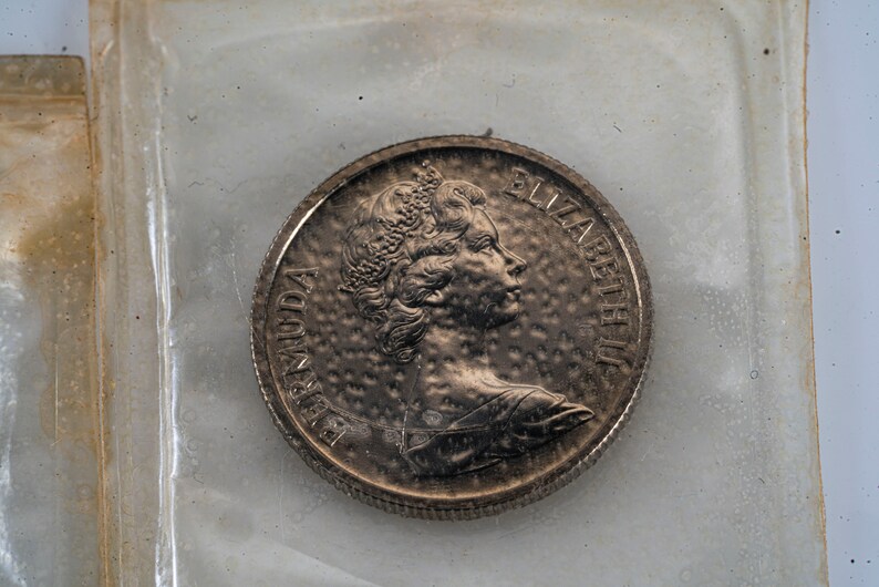 Pu&ograve; includere: Moneta d'argento con un profilo della regina Elisabetta II e il testo "BERMUDA" e "ELIZABETH II".