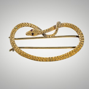 May include: A gold-toned snake brooch with a red stone eye. The snake is coiled in a circle and the brooch has a textured surface.