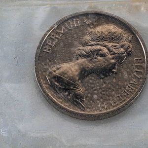 Pu&ograve; includere: Una moneta d'argento con un profilo della regina Elisabetta II su un lato e le parole "BERMUDA" e "ELIZABETH II" sull'altro.