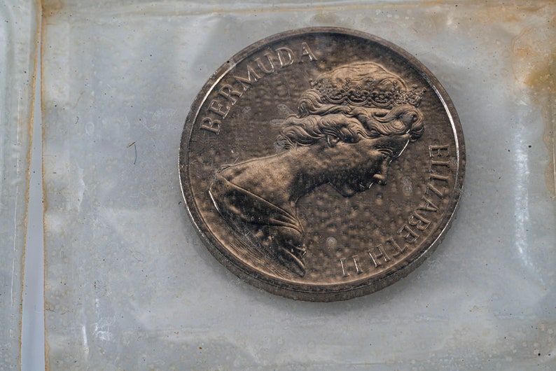 Pu&ograve; includere: Una moneta d'argento con un profilo della regina Elisabetta II su un lato e le parole "BERMUDA" e "ELIZABETH II" sull'altro.