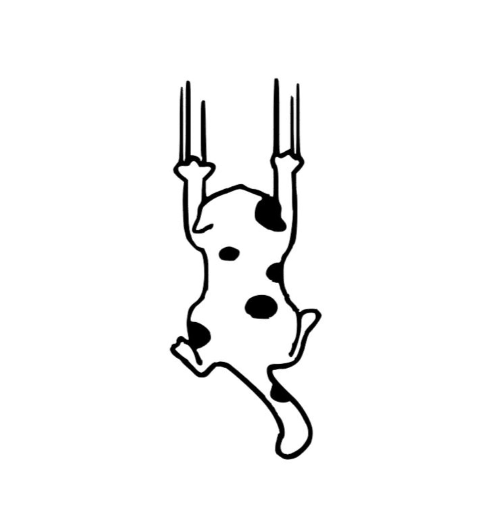 Cat Scratch Vinyl Decal for your Car Glass or other surface Etsy.de