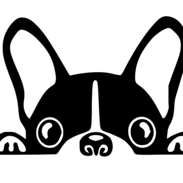 Boston Terrier - Car Vinyl Decal, Glass or other surface - Fun Summer Birthday Christmas Vehicle Window Dog Face Head