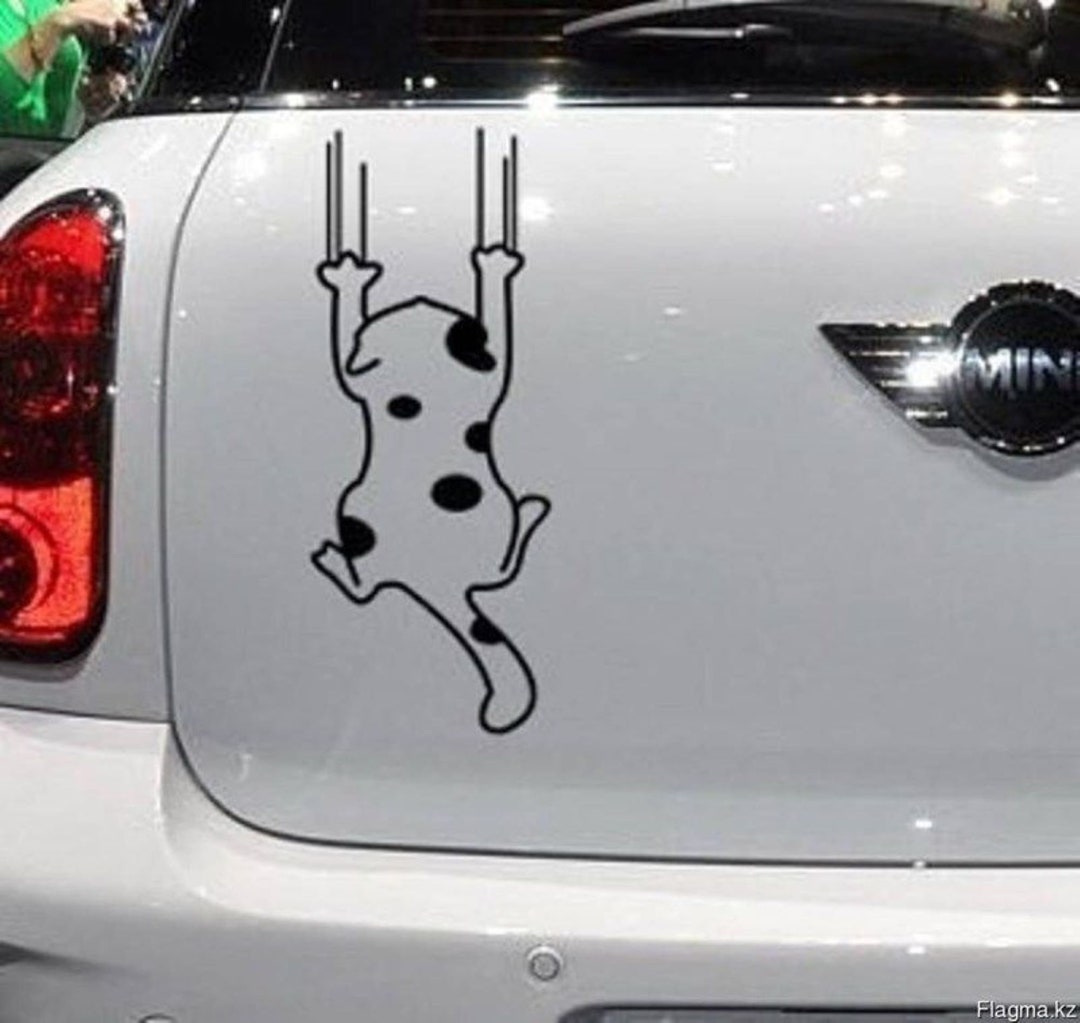 Cat Scratch Vinyl Decal for Your Car, Glass or Other Surface Fun Summer