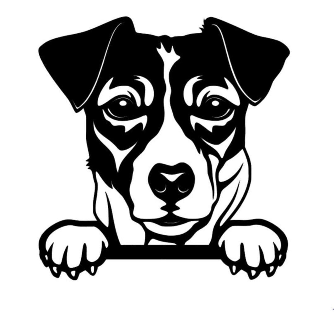 Jack Russell Car Vinyl Decal, Glass or Other Surface Fun Summer