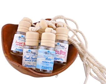 Holiday Car Diffuser, Air Freshener Bottle, Christmas Stocking Stuffer