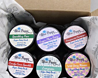 Mini Body Butter, 12 Pack Assortment, Holiday Stocking Stuffer, Gift Exchange, Teacher Gifts, Bulk Set