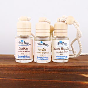 Car Diffuser Bottle, Hanging Air Freshener, Mens Fathers Day