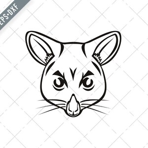 Hoofd van Common Brushtail Possum Trichosurus Vulpecula Semi-Arboreal Buidelver mascotte zwart en wit Svg-Possum SVG-Cut File-DXF-jpg-png