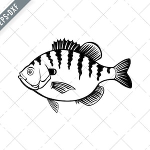 Bluegill Brasem Brim Sunny of Copper Nose Fish Side View Retro Zwart-Wit Svg-Bream SVG-Bluegill Cut File-DXF-jpg-png