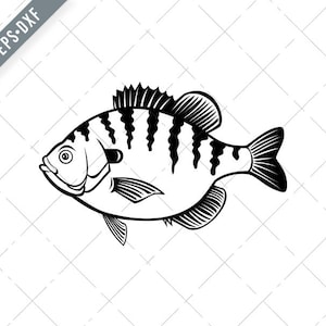 Bluegill Svg 