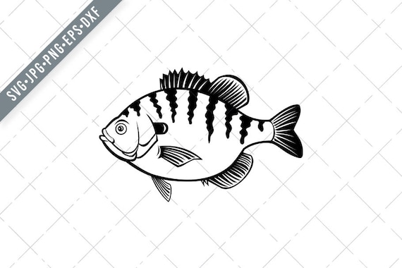 Bluegill Bream Brim Sunny or Copper Nose Fish Side View Retro Black and  White Svg-Bream SVG-Bluegill Cut File-DXF-jpg-png