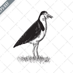 Pluvier à ailes d’éperon ou Lapwing masqué Coupe de bois debout Noir et Blanc Svg-Masqué Plover SVG-Spur-Winged Plover Cut File-DXF-jpg-png
