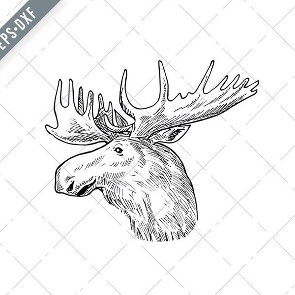 Head of a Bull Moose or Elk Alces Alces Scratchboard Retro Black and White Svg-bull moose SVG-Cut File-DXF-jpg-png