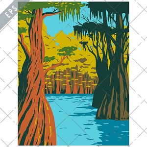 Puede incluir: Una ilustración de estilo retro de una escena de pantano con árboles altos y un río azul. Los árboles tienen hojas verdes y troncos marrones. El río está rodeado de vegetación verde.