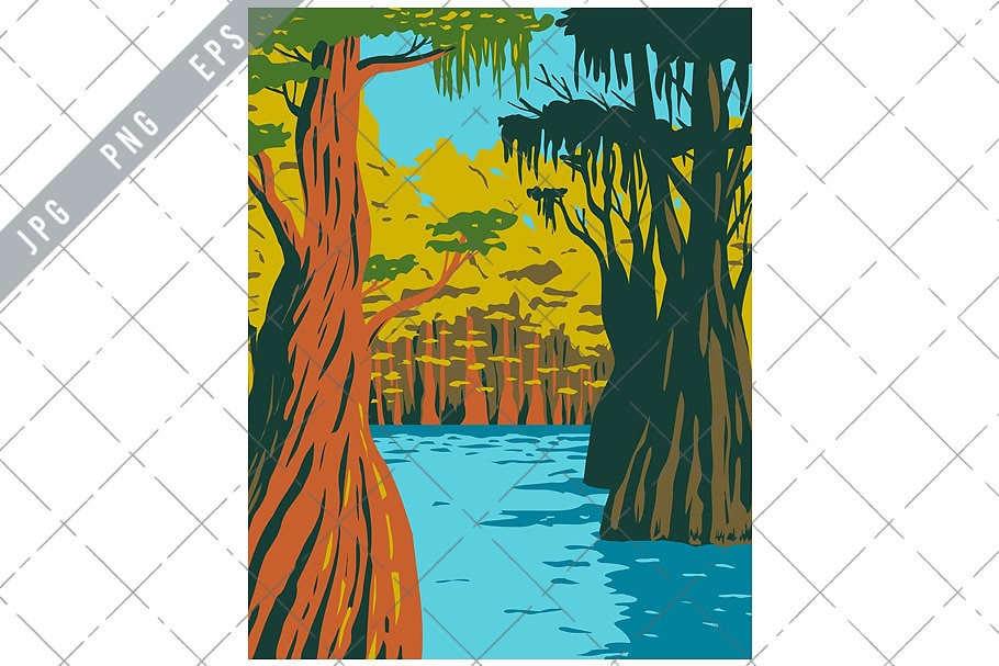 Bald Cypress Growing in Owl Creek Apalachicola National Forest Florida WPA Poster Art Vector eps-EPS