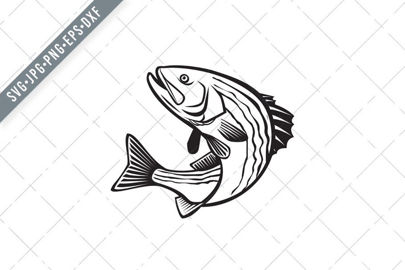 Free Free 272 Striped Bass Svg Free SVG PNG EPS DXF File