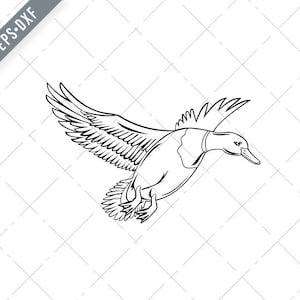 May include: A black and white line drawing of a duck in flight. The duck's wings are spread wide and its head is tilted down.