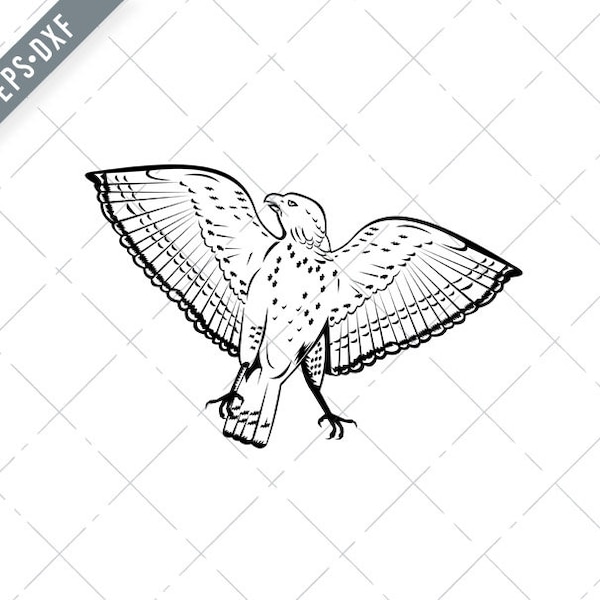 Broad-Winged Hawk Flying Front View Rétro Woodcut Noir et Blanc Style Svg-Broad-Winged Hawk SVG-Cut File-DXF-jpg-png