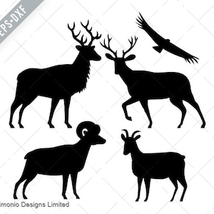 Elch Wapiti Maultier Deer Bighornschaf Kondor Silhouette Schwarzweiß Hirsch SVG-Datei-Mule Deer DXF-jpg-Condor png