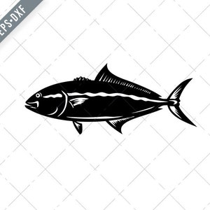 Greater Amberjack Medregal Coronado Allied Kingfish Greater Yellowtail Mascot Black and White Svg-Greater Amberjack SVG-Cut File-DXF-jpg-png