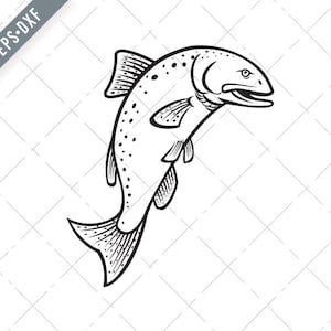 Chinook Salmone Oncorhynchus Tshawytscha Re Salmone Quinnat Salmone Jumping Cartoon Nero Bianco Svg-Quinnat Salmone JSVG-Taglia File-DXF-jpg-png