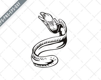Grey Moray Eel or Gymnothorax Nubilus Swimming Up Retro Woodcut Black and White Svg-Grey Moray SVG-Gymnothorax Nubilus Cut File-DXF-jpg-png