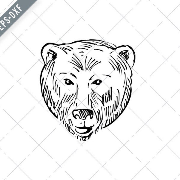 Head of a Brown Bear Ursus Arctos or Grizzly Bear Scratchboard Style Black and White Svg-Ursus arctos SVG-Grizzlies Cut File-DXF-jpg-png