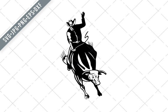 Bucking Bull Line Drawing