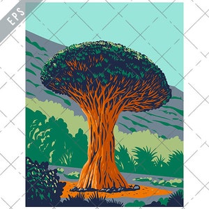 May include: A large, orange-brown tree with a wide, green canopy. The tree is growing on a hillside with other green trees and shrubs in the background.