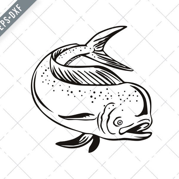 Dorado Mahi-mahi or Common Dolphinfish Jumping Up Retro Black and White Svg-Mahi-mahi SVG-Dorado Cut File-DXF-jpg-png