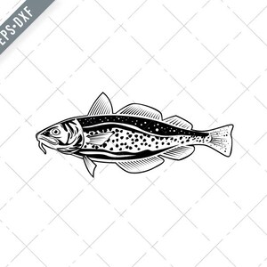 Atlantic Cod Gadus Morhua or Codling Side View Retro Style Black and White Svg-Atlantic Cod SVG-Cut File-Codling DXF-jpg-png