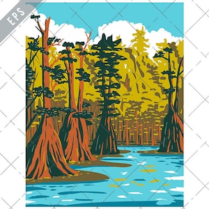 Baldcypress Tree Growing in Apalachicola National Forest Florida WPA Poster Art Vector eps-Apalachicola EPS-JPG-png-Baldcypress Tree Clipart