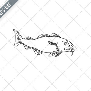 Atlantische Rdjade Gadus Morhua oder Codling Seite Ansicht Linie Kunst Stil schwarz und weiß Svg-Codling SVG-Atlantic Kabeljau geschnitten Datei-DXF-jpg-png