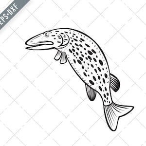 Northern Pike Esox Lucius Carnivorous Fish of the Genus Esox Jumping Up Cartoon Black and White Svg-Northern Pike SVG-Cut File-DXF-jpg-png