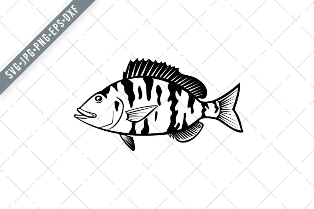 Piggy perch best sale