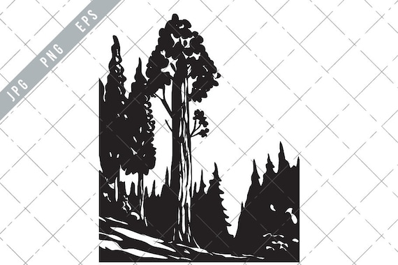 General Grant Tree Trail in Kings Canyon National Park WPA