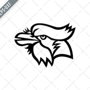 Kopf von Blue Jay Kopf Maskottchen schwarz und weiß Svg-Cyanocitta cristata SVG-Jay geschnitten Datei-DXF-jpg-png