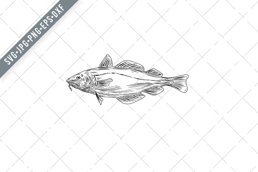 Atlantic Cod Codling Fish Viewed From Side Drawing Black and White Svg ...