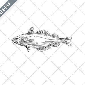 Könnte beinhalten: Eine Schwarzweiß-Zeichnung eines Kabeljaus. Der Fisch ist nach rechts gerichtet und hat einen langen, schlanken Körper mit einem spitzen Kopf und einem großen Maul.