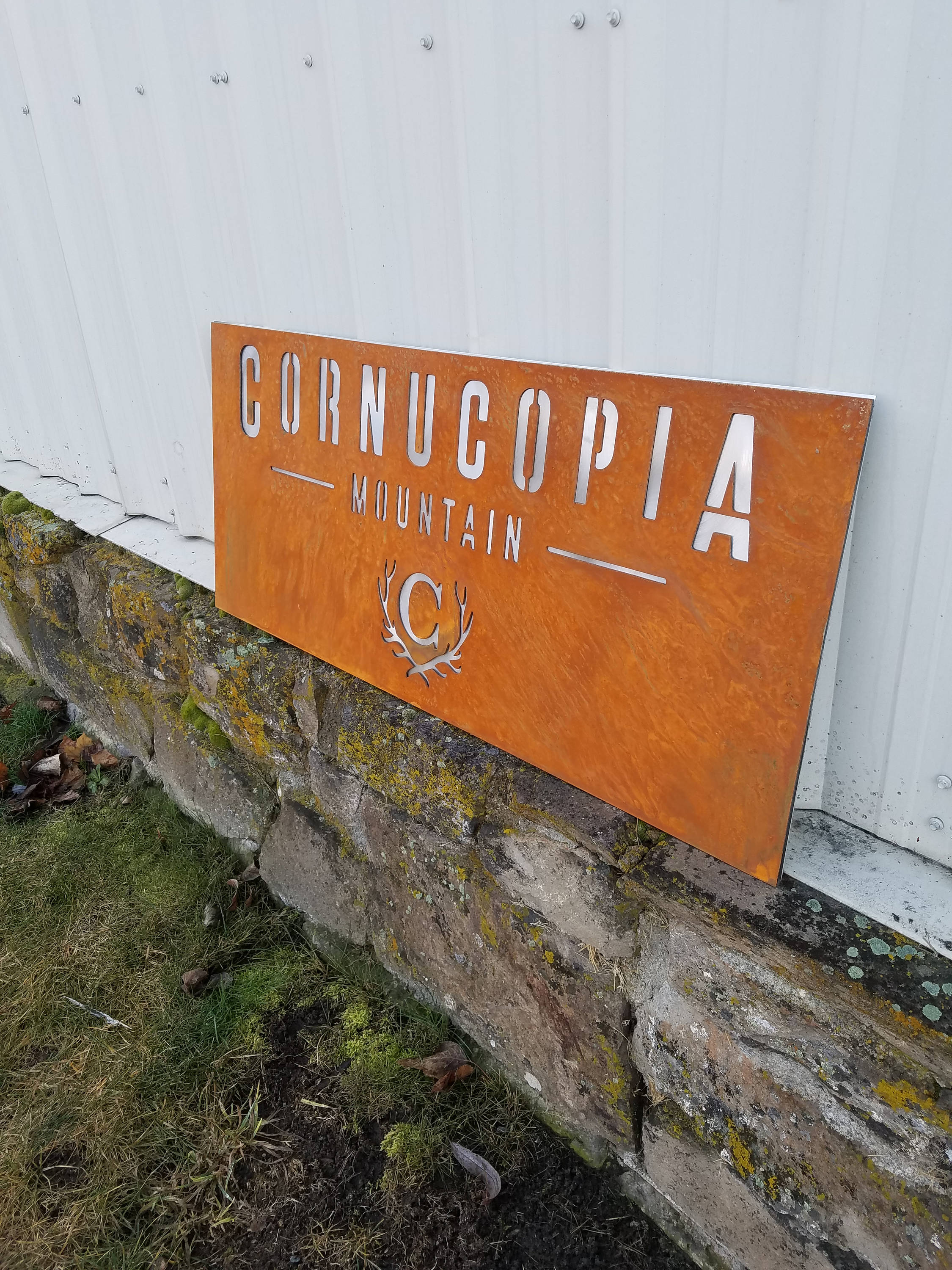 Custom rusty metal plasma cut sign Etsy