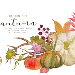 Clipart: &quot;AUTUMN&quot;  hand painted watercolor fall leaves and pumpkins, 62 clipart 300 dpi PNG  files (5271)
